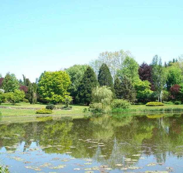 Parc de l'Étang, Battrans, France, France